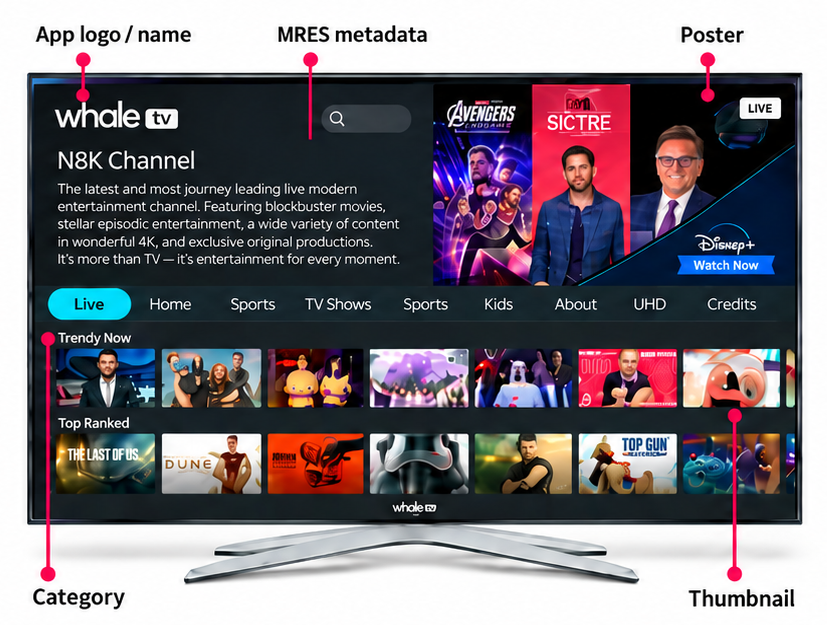 Turnkey CTV Publisher Service — App logo / name, MRES metadata, Poster, Category, Thumbnail